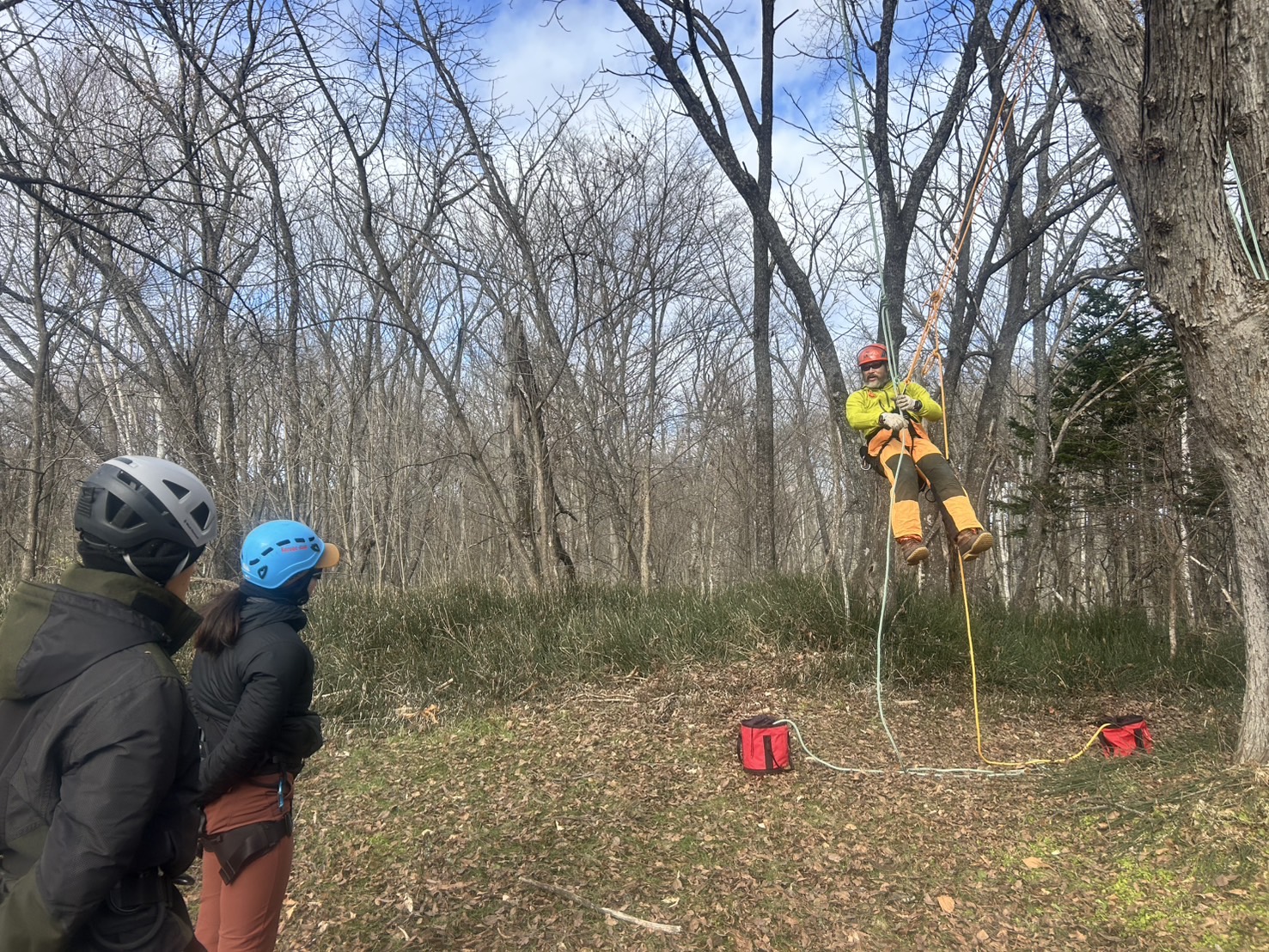 TMCA ツリーイング T-2認定講座を受講しました