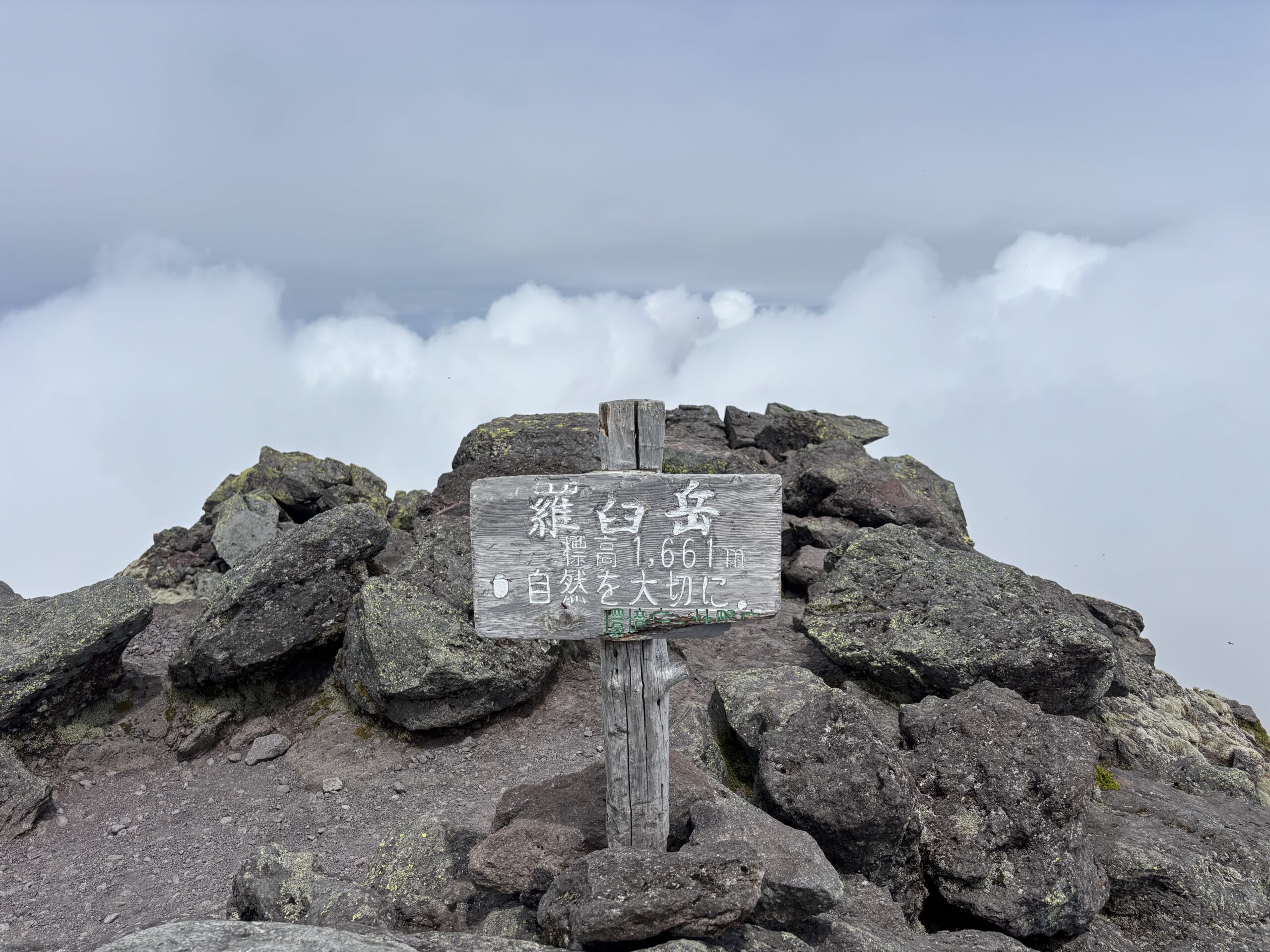 2026年羅臼岳シーズンイン 雪渓とお花畑を超えて知床連山の最高峰へ